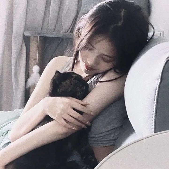 红盾先锋 海报